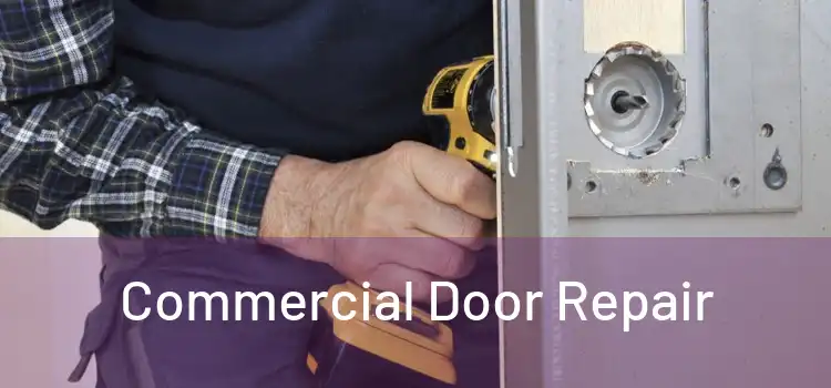  Commercial Door Repair 
