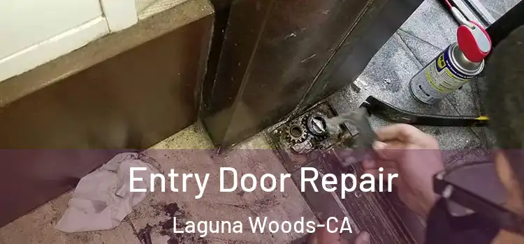  Entry Door Repair Laguna Woods-CA